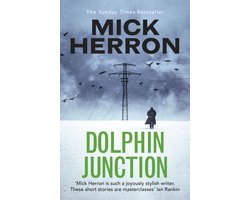 Omslag van Dolphin Junction
