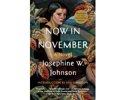 Omslag van Now in November