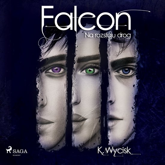 Falcon II Na rozstaju dróg - cover