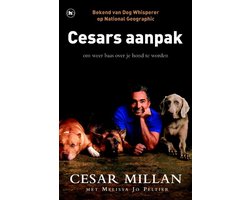 Cesars aanpak