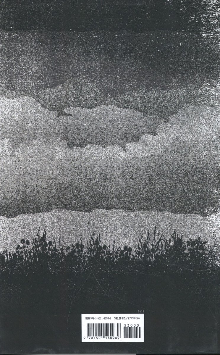 ISBN The Outsider, Anglais, Couverture rigide, 576 pages - back cover