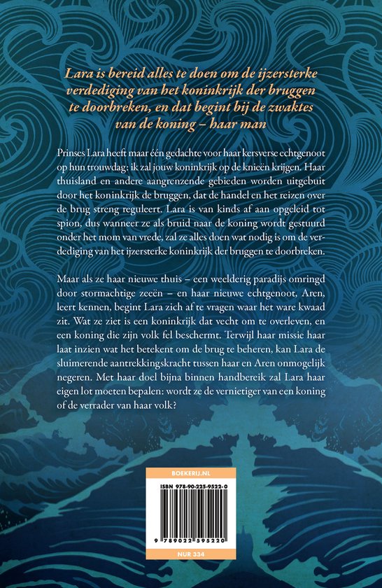 Koninkrijk 1 - Het koninkrijk der bruggen