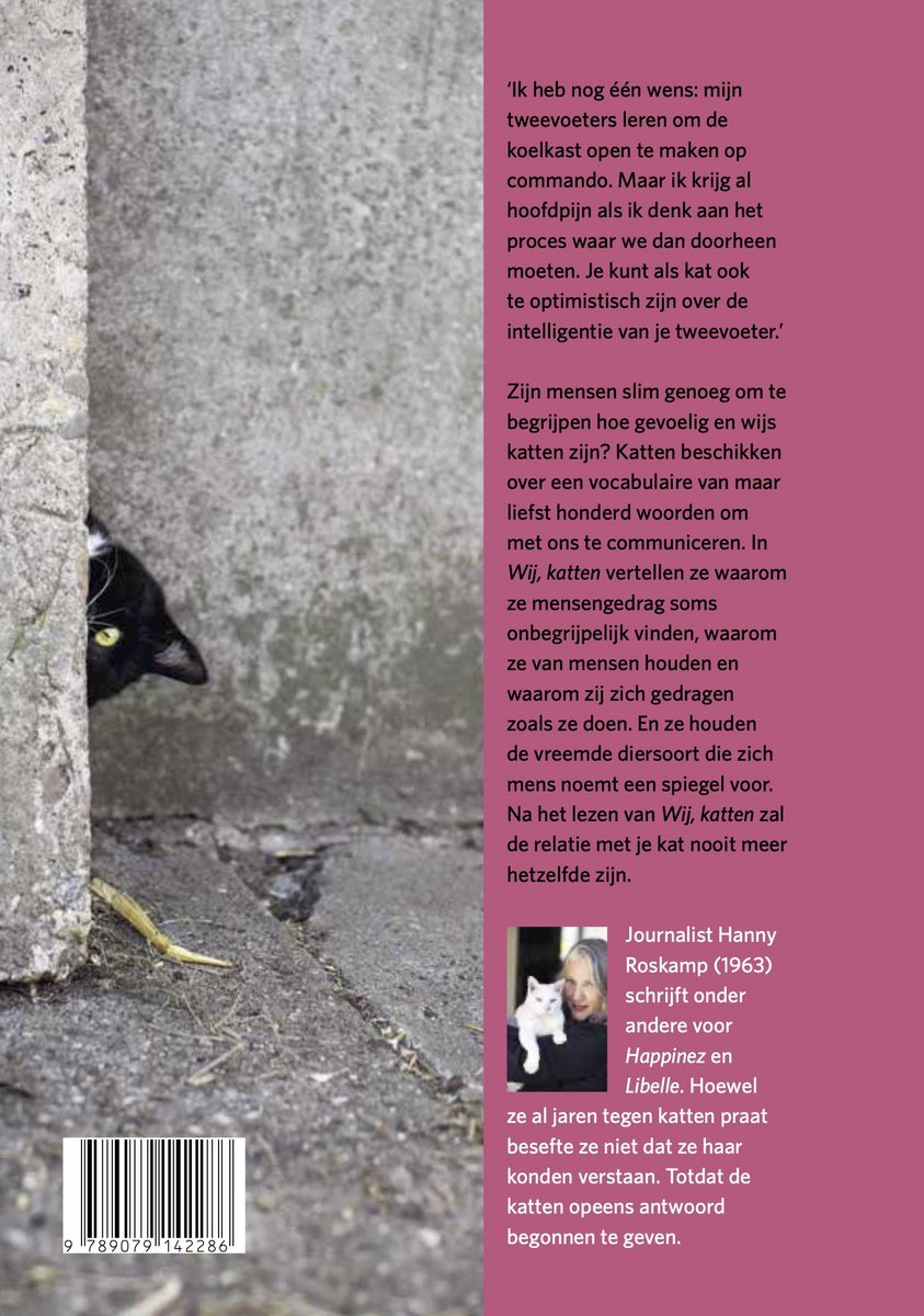 Zwarte kat kijkt om de hoek langs een muur, met tekst over kattencommunicatie.