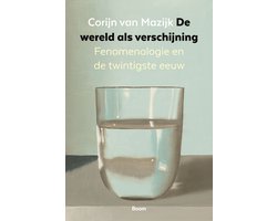 De wereld als verschijning