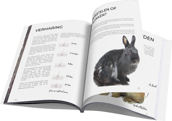 Jouw Konijn - Jouw konijn, verzorging