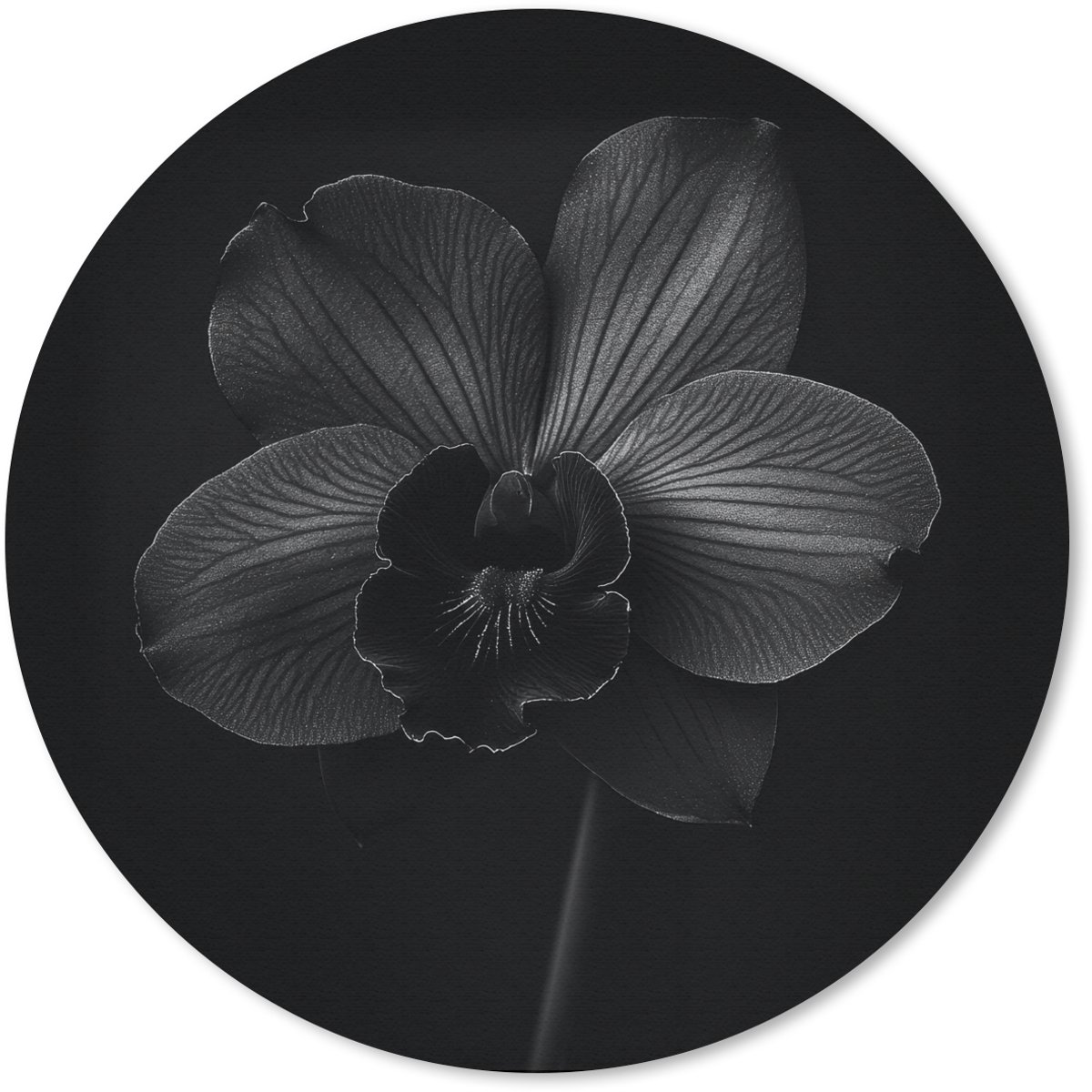 Muismat rond 40x40 cm - Mousepad Zwart - Bloem - Orchidee - Ronde muismatten