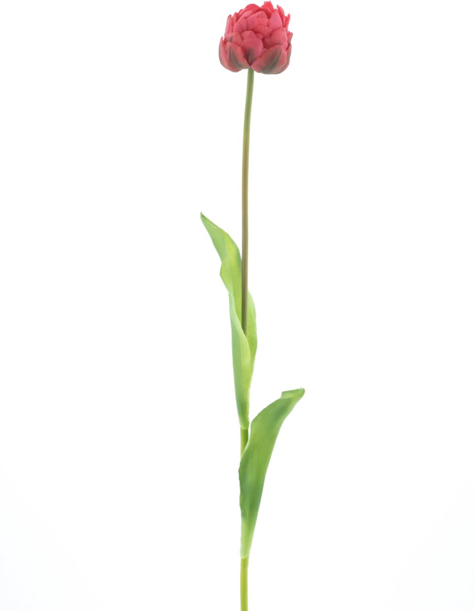 Nova nature - PSO Tulip spray Paris Sally beauty 79 cm kunstbloem
