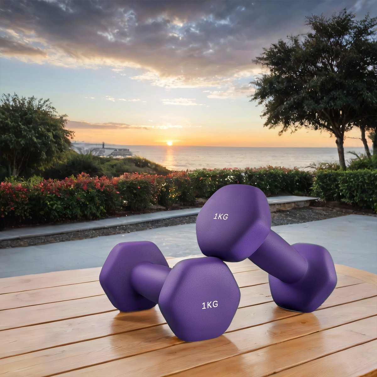 Halters – Set van 2 x 1 kg – Lichtgewicht Training