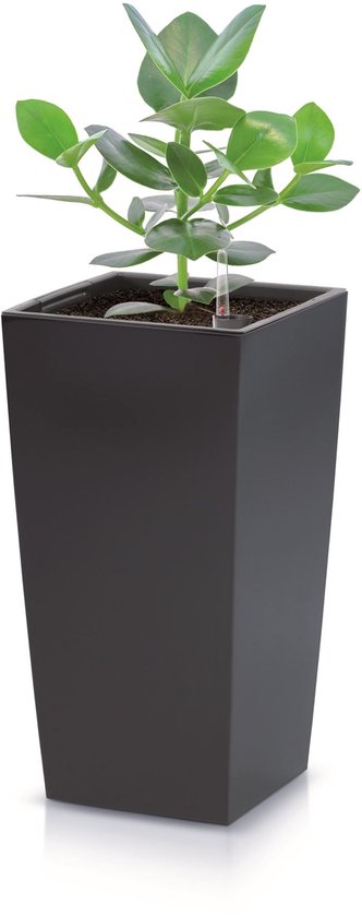 Prosperplast bloempot/plantenpot Urbi met binnenpot - antraciet - 32 x 32 x 61 cm - Kunststof