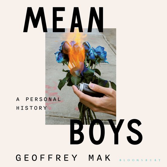Mean Boys - cover