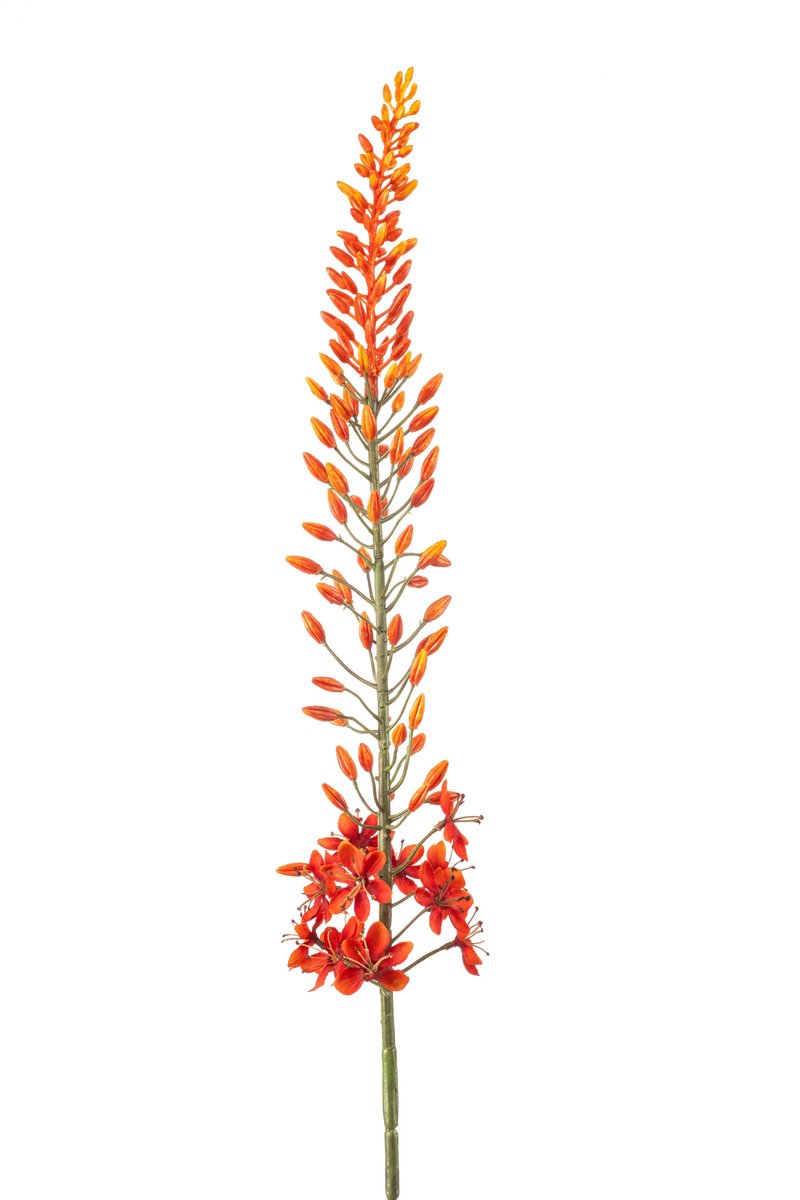 Emerald Kunstbloem Eremurus 108cm oranje - Kunstplant voor binnen