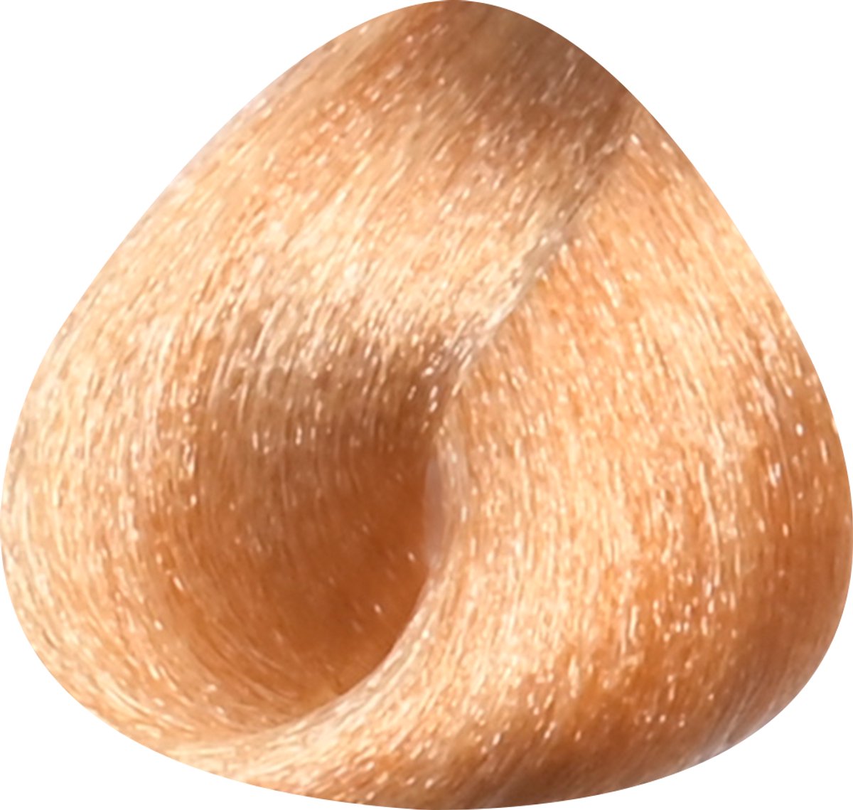 Toujours Trend Color 8.33 Light Intense Golden Blonde