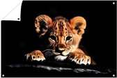 Welp met intense blik - Welp tuinprint - Tuinschilderijen dieren - Hyperrealisme - Wanddecoratie buiten - Tuin poster - tuinposter 45x30 cm
