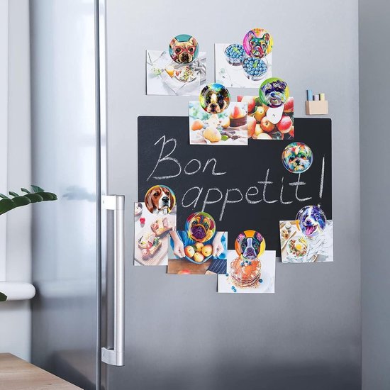 Ant Mag Neodymium Magneten Pins D11MM Sterke Magneten Voor Koelkast Whiteboards Kalenders Kaarten Op School En Kantoor 18 Stuks