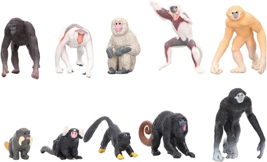 Juego De Modelos De Animales Marinos De Calamar Para Niños