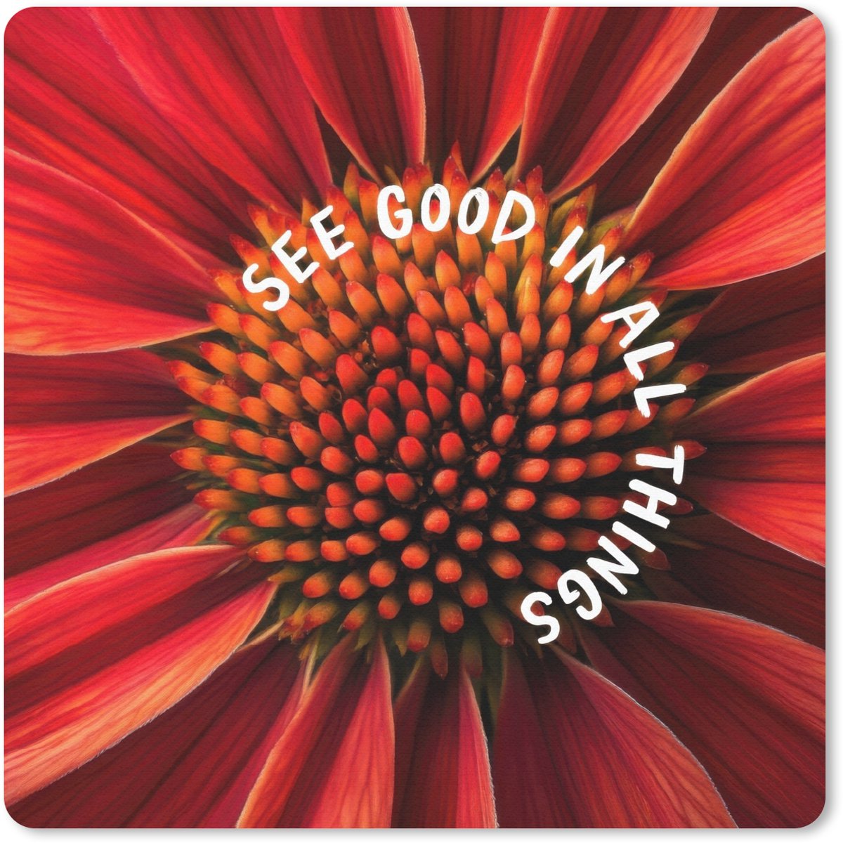 Muismat 30x30 cm - Mousepad Close up - Bloem - Quote - Rood - Muismatten
