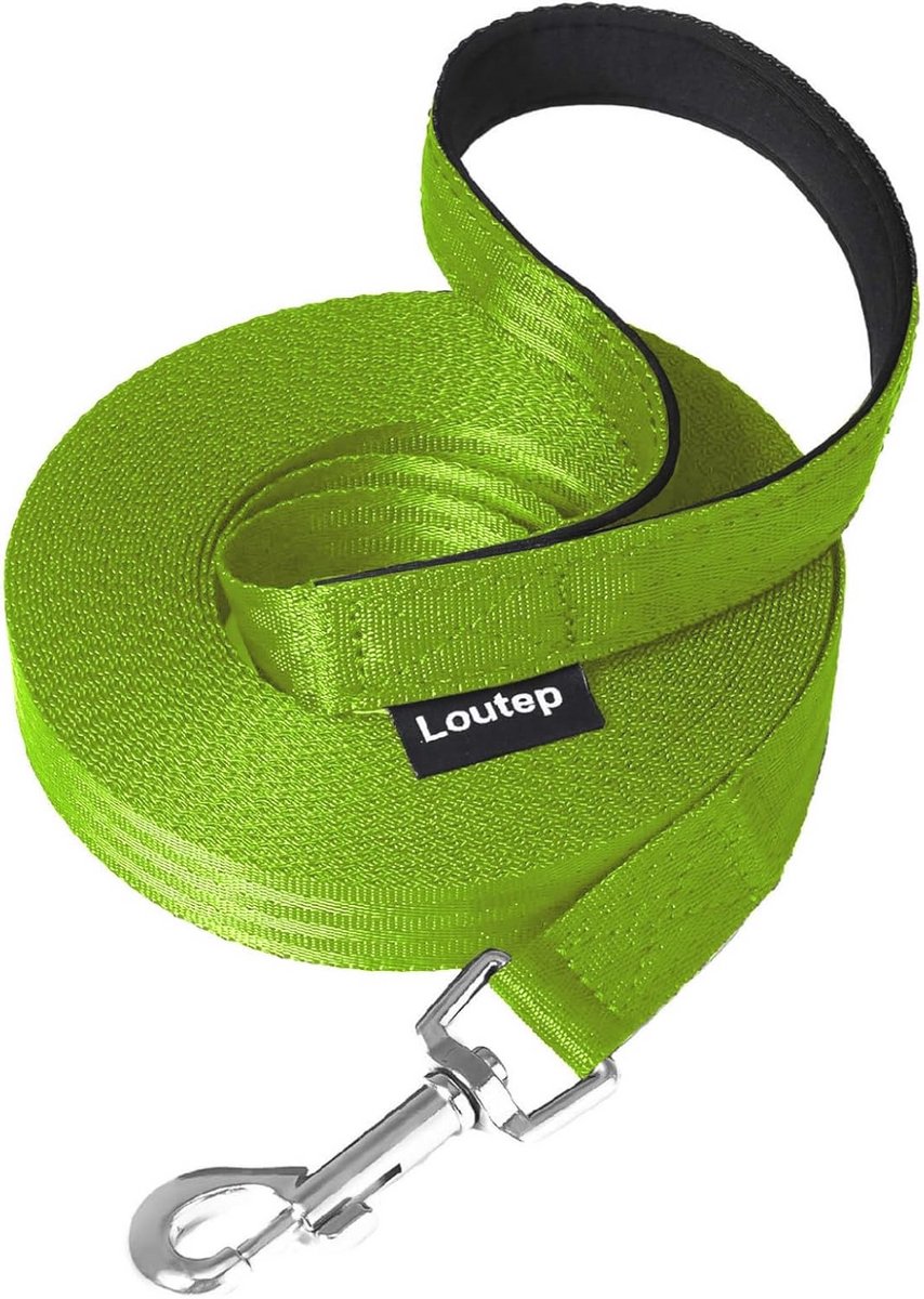 Extra lange nylon hondentrainingslijn 10 meter met gewatteerd handvat voor puppy's en gehoorzaamheid