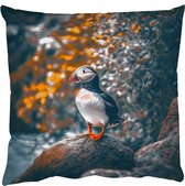 Coussins Coussins décoratifs - Oreillers de salon - 60x60 cm - Perroquet - Vogel - Rocher - Wit