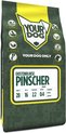 Yourdog oostenrijkse pinscher pup - 3 KG