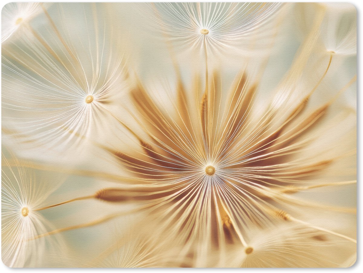 Muismat 23x19 cm - Mousepad Paardenbloem - Beige - Abstract - Modern - Natuur - Muismatten