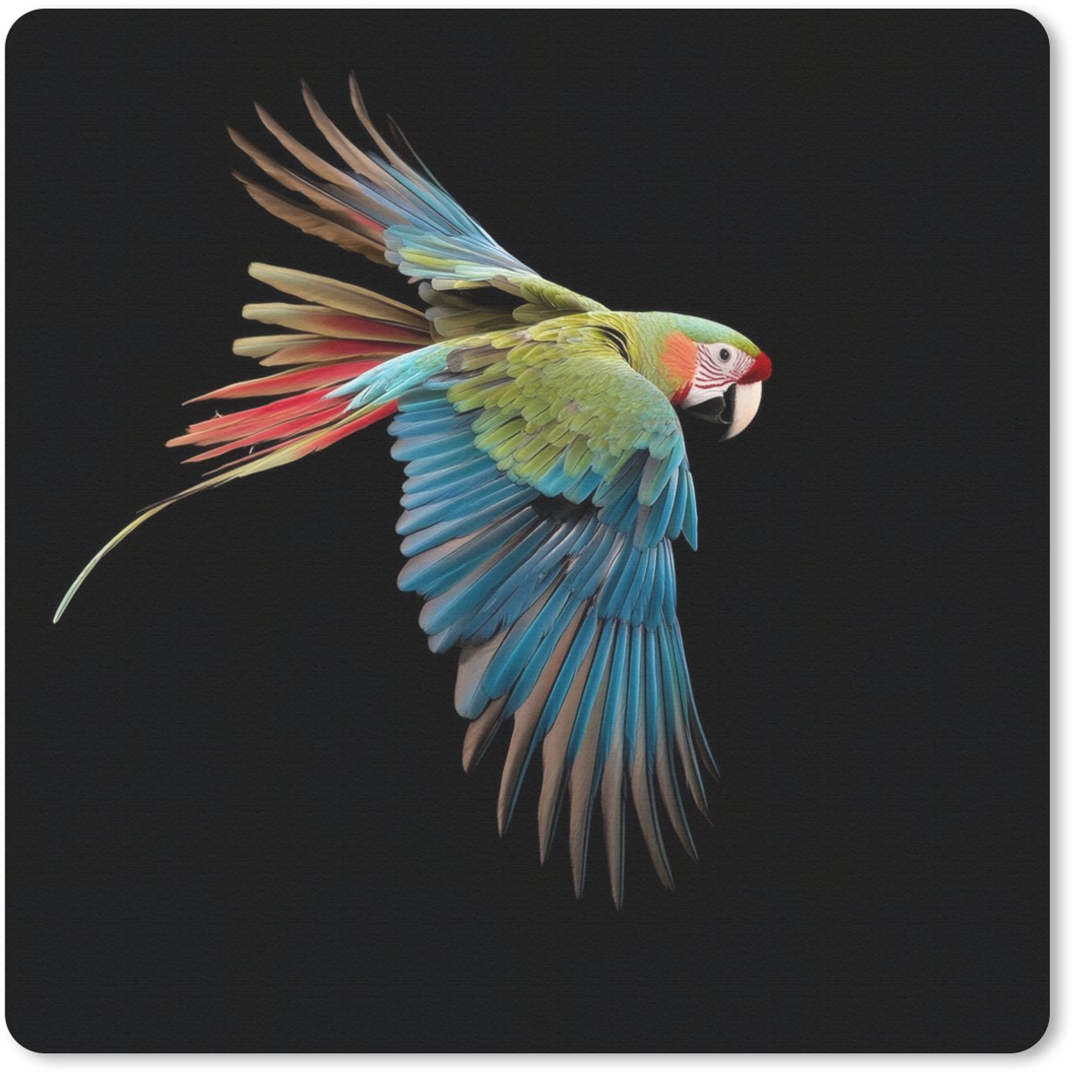 Muismat 20x20 cm - Mousepad Papegaai - Kleurrijk - Vleugels - Sierlijk - Muismatten