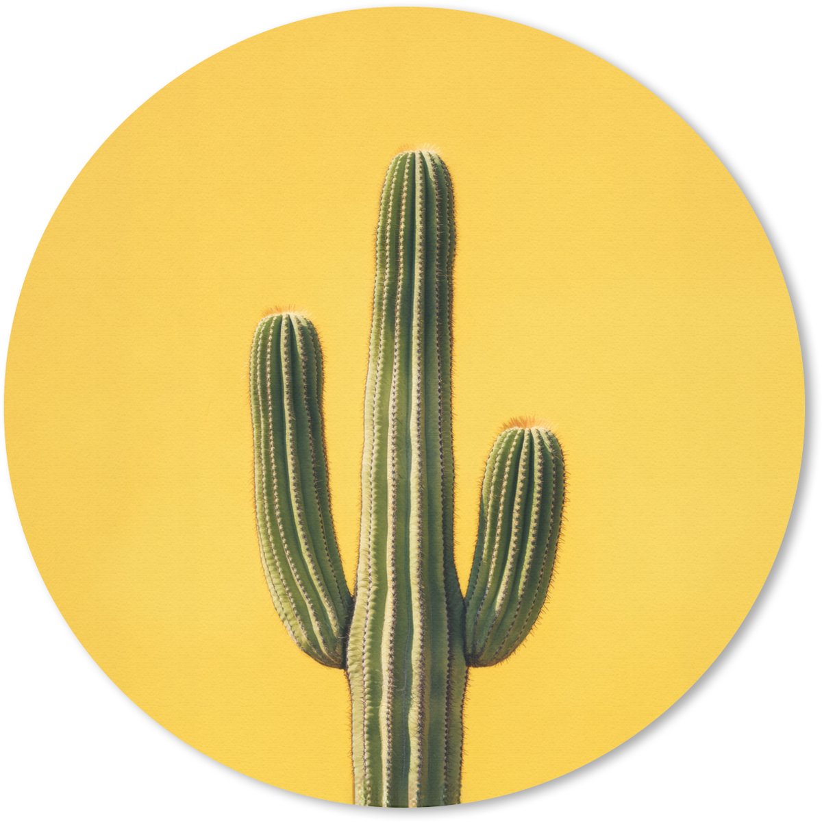 Muismat rond 50x50 cm - Mousepad Cactus - Groen - Minimalistisch - Ronde muismatten