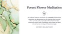 Therme Forest Flower Meditation. Collectie wellnessproducten voor body & mind.