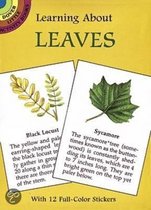 Learning about Leaves