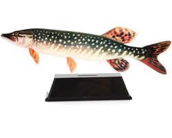 Vistrofee Real Fish Snoek 20 cm - Prijs Snoekwedstrijd Viswedstrijd Visprijs Wedstrijdprijzen Sportvissen Visprijzen Wedstrijdvissen Viswedstrijden Sportvisprijs Sportvisprijzen Visbokaal Vis Bokaal Beker Visbeker Wedstrijdbeker Visbeeld Beeldje Heng