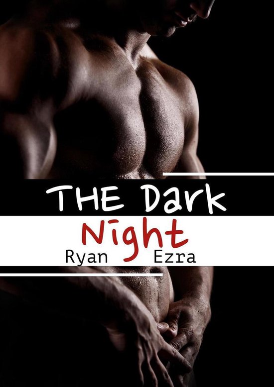 The Dark Night [Gay Erotik] - cover