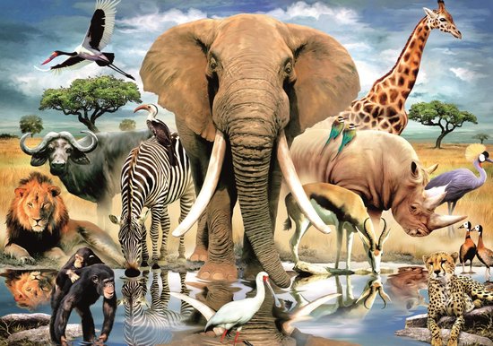 Dieren uit Kenia | bol.com