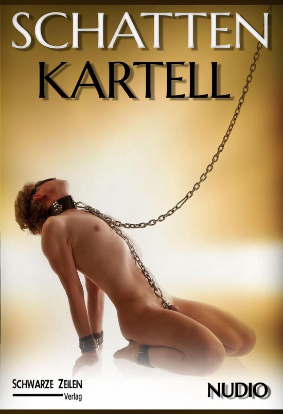 Schatten-Kartell - cover