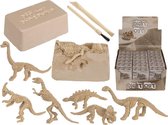 Dinosaur Skeleton Kit Ass.Disp