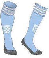 Reece Logo kousen MHC Dalfsen - 5210 sky blue - Hockey - Hockeykleding - Sokken