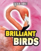 Brilliant Birds