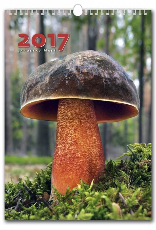 kaas Bezem Lastig C143-17 Kalpa wand kalender 2017 Paddestoelen 31 x 45 cm. | bol.com