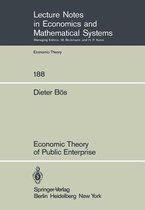 Economic Theory of Public Enterprise