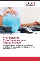 Promoción de Exportaciones en el Ámbito Público