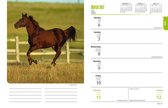 Paarden / Horse Lovers Agenda 2017