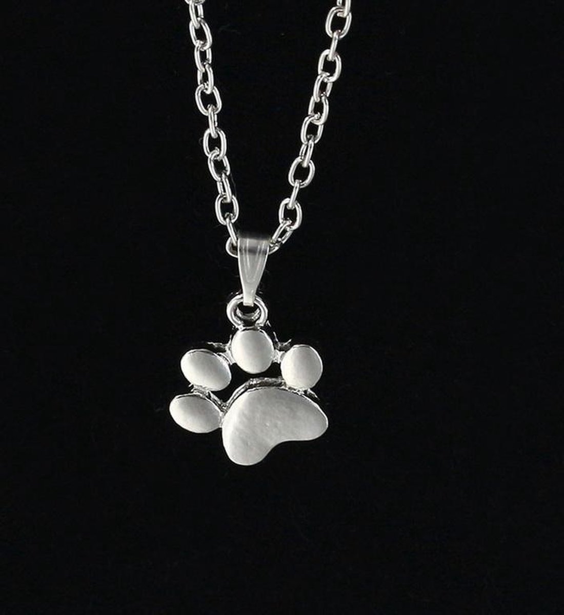 Ketting met hanger Kat Hond voetafdruk Cat Dog Footprint zilverkleur - Van Santen Fashion Charm Jewelry