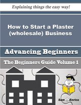 How to Start a Plaster (wholesale) Business (Beginners Guide)