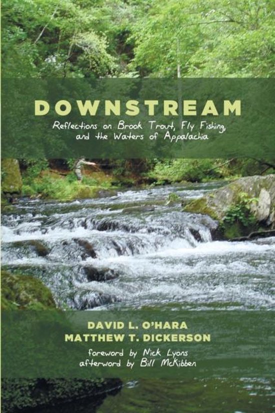 Foto: Downstream