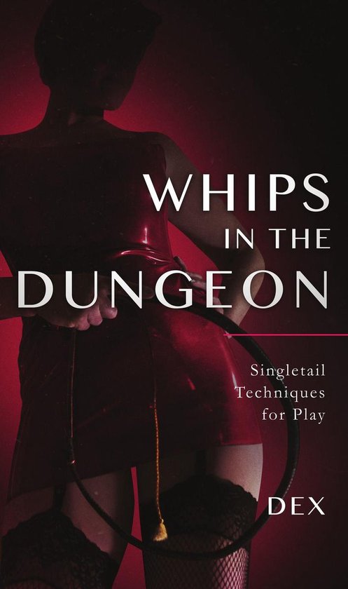 Foto: Whips in the dungeon singletail techniques for play