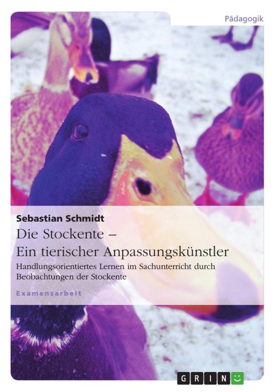 Die Stockente – ein tierischer Anpassungskünstler - cover