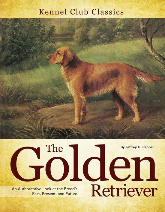 Golden Retriever - cover