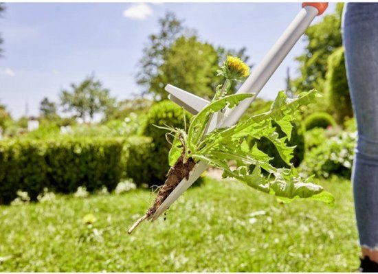 GARDENA onkruidsteker houdt paardenbloem met wortel omhoog, vrouw in jeans op achtergrond.