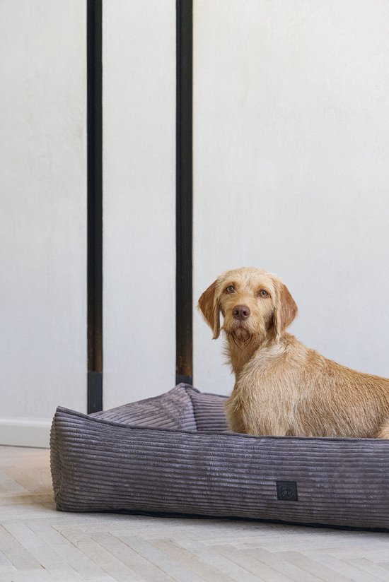 Hond kijkt omhoog vanuit een bruine ribstof hondenmand.