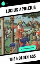 livre numérique