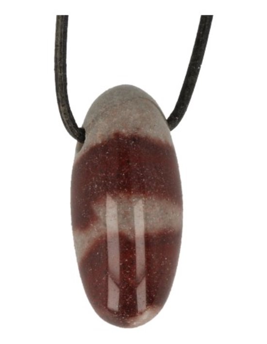 Shiva Lingham Hangert aan Leren Koord