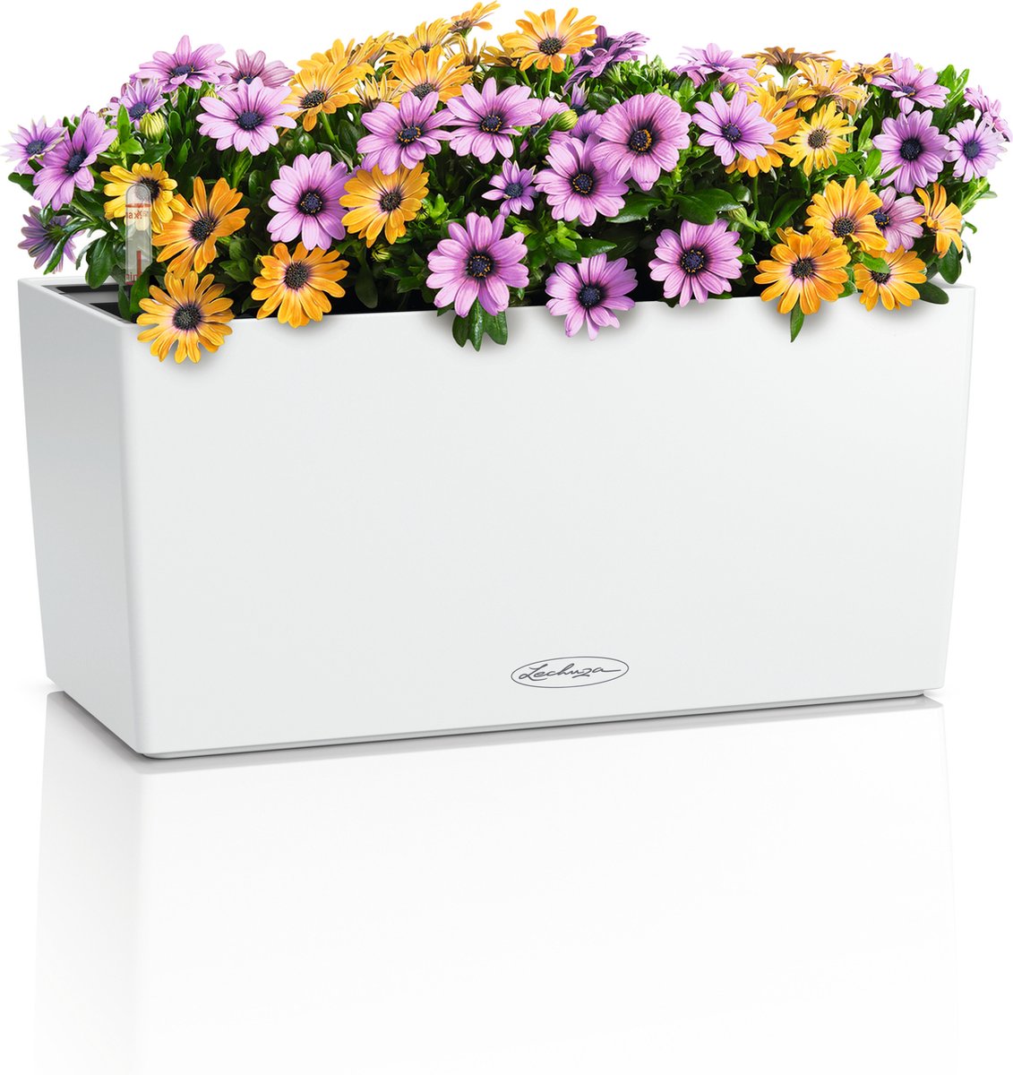 Lechuza Balconera Color 40 - Planter - with removable inner pot